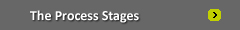 The Process Stages