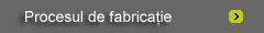 Procesul de fabricatie